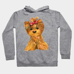 Yorkie Pup Hoodie